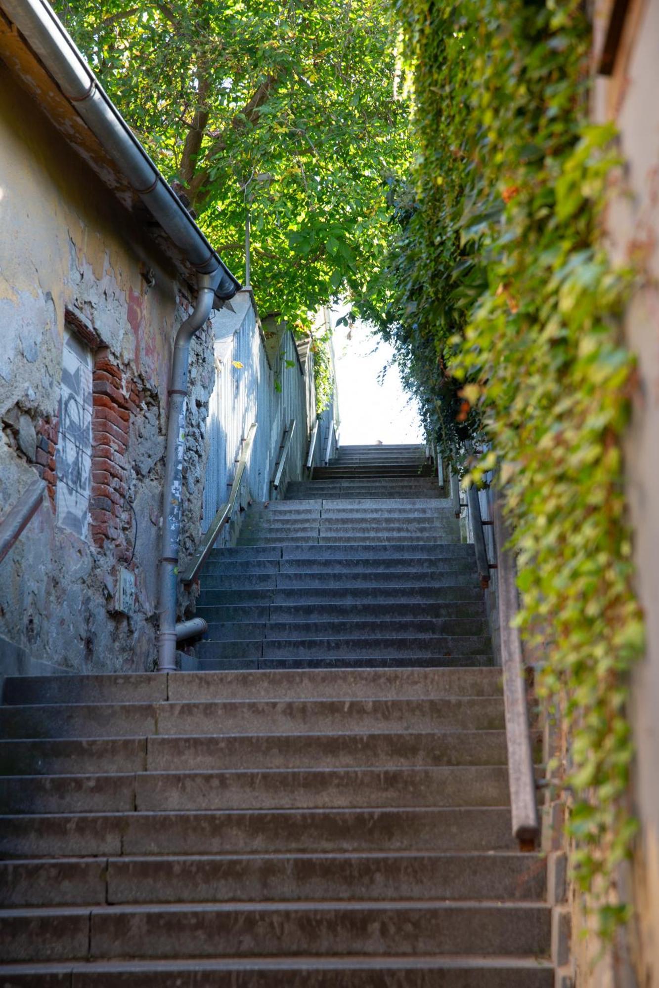 Rezidence Plesivec - Rodinny Apartman S 3 Loznicemi Český Krumlov Kültér fotó